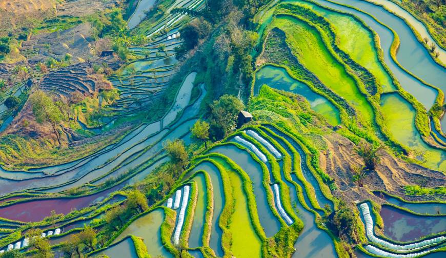 走进任县TVC拍摄：解锁本地化场景与创意镜头的完美融合